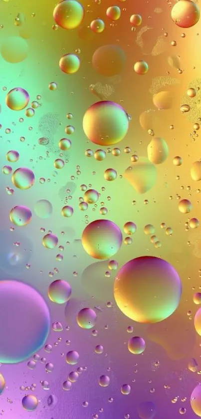 Colorful bubbles on a vibrant gradient background.