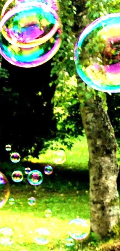 Colorful bubbles floating in a lush green forest scenery.