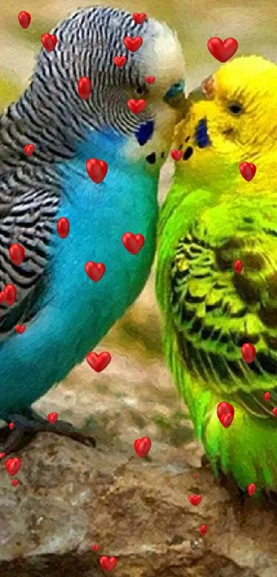 Two colorful budgies perched on a natural rock surface.