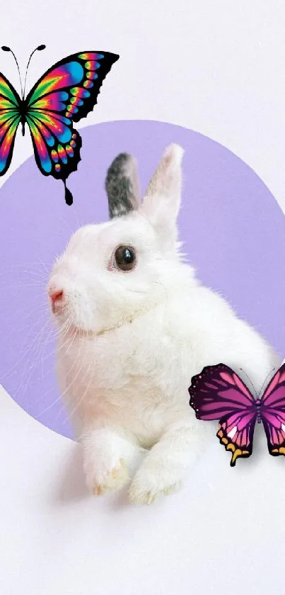 White bunny with butterflies on colorful wallpaper.