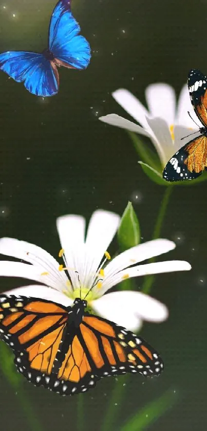 Colorful butterflies hover over white flowers on a green background.