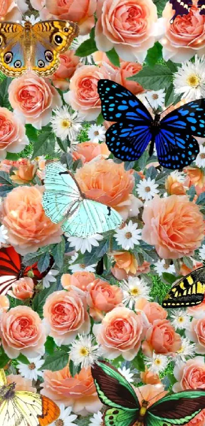 Colorful butterflies with peach roses wallpaper.