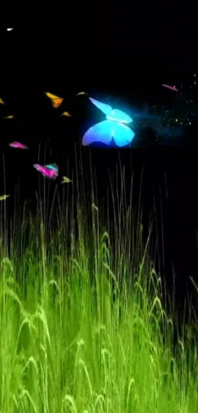 Colorful butterflies over green grass on a mobile wallpaper.