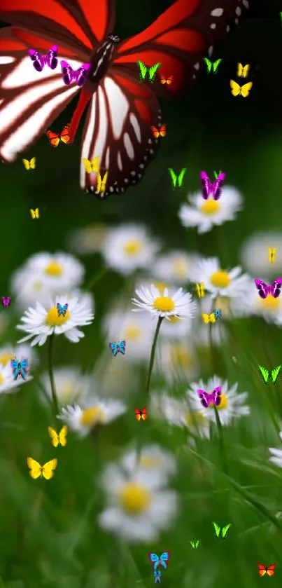 Colorful butterflies flutter above daisies in a green meadow.