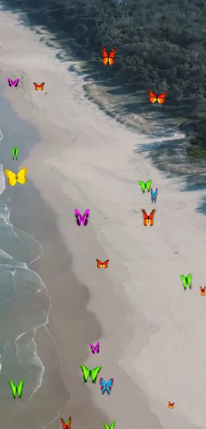 Colorful butterflies flutter over a serene beach, creating a vibrant, nature-inspired wallpaper.