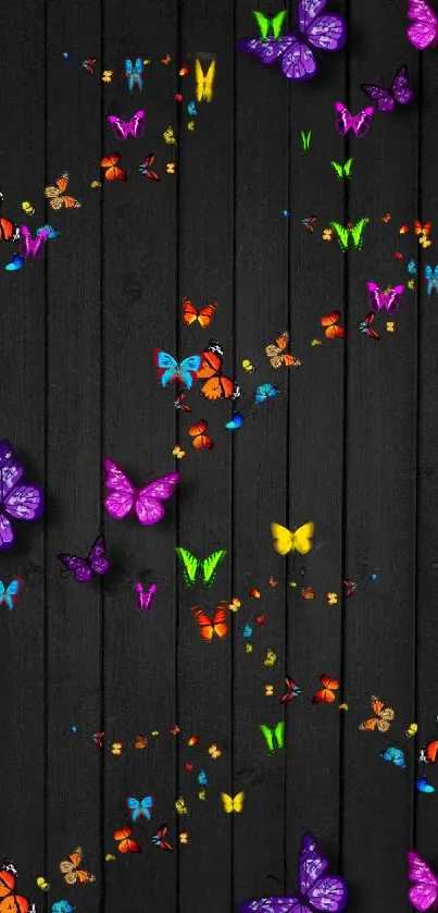 Colorful butterflies on a black wooden background.