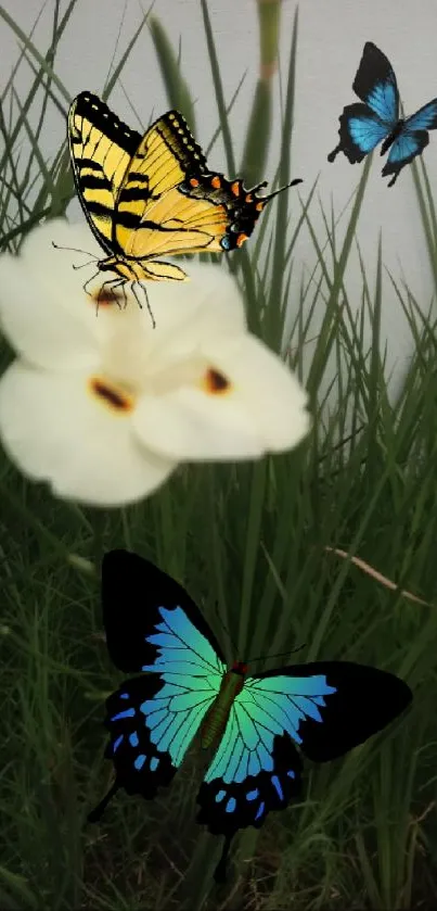 Three colorful butterflies on a flower amidst green grass.