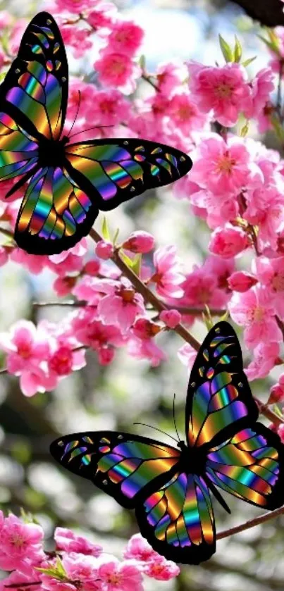 Colorful butterflies on pink blossoms wallpaper