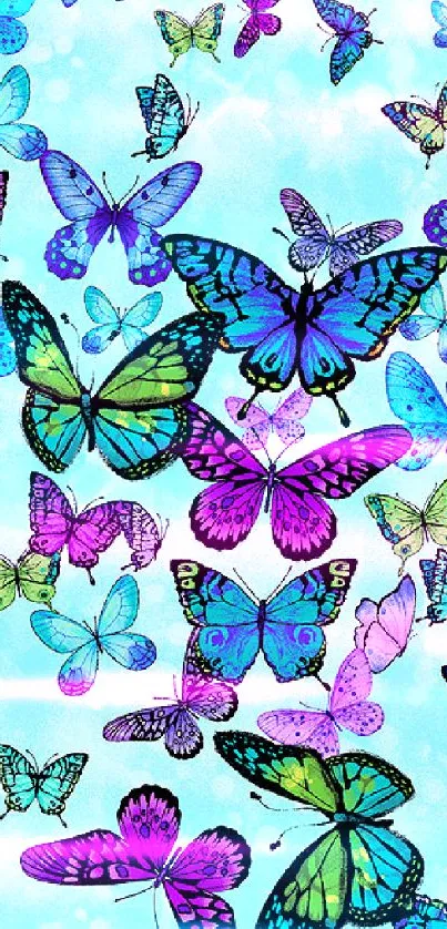 Vibrant butterfly pattern on light blue background wallpaper.