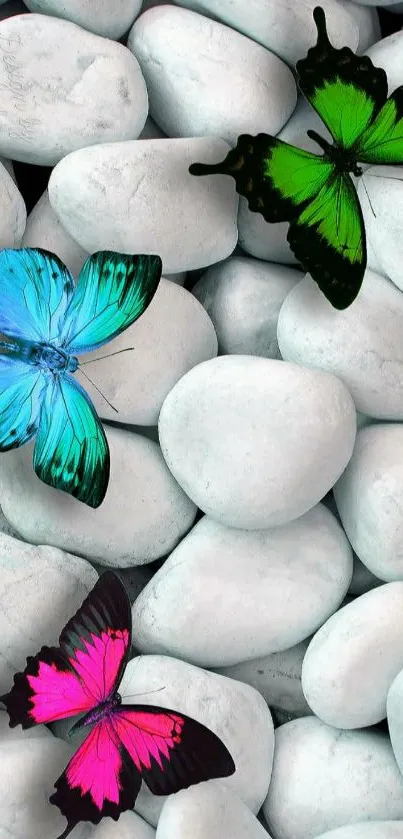 Vibrant butterflies on white pebbles wallpaper.