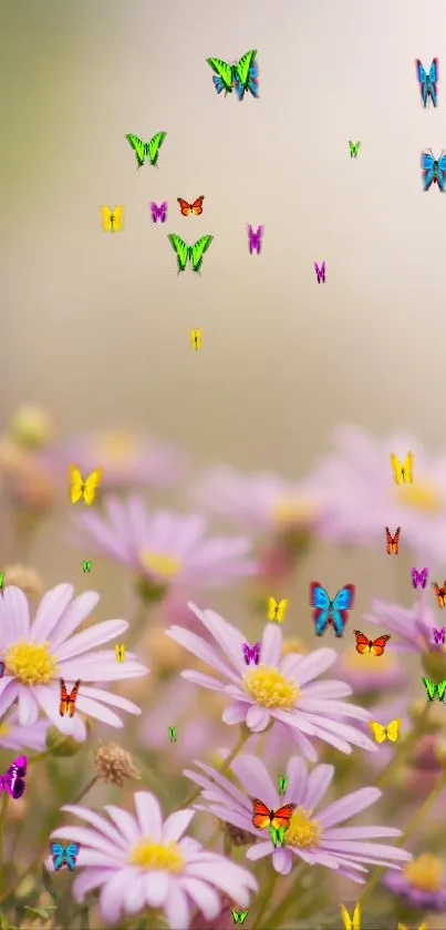 Colorful butterflies flutter above pink daisy flowers in this vibrant wallpaper.