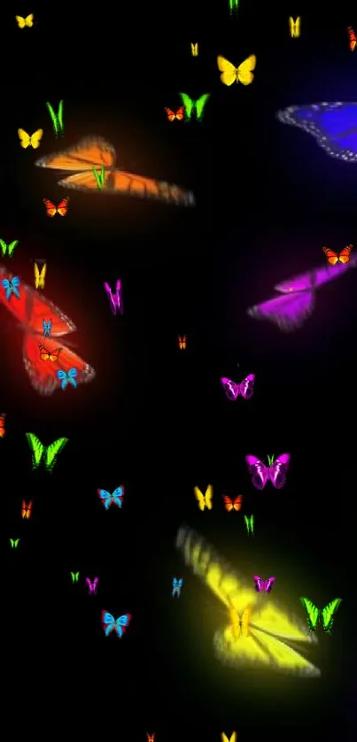 Colorful butterflies glowing on a black background mobile wallpaper.