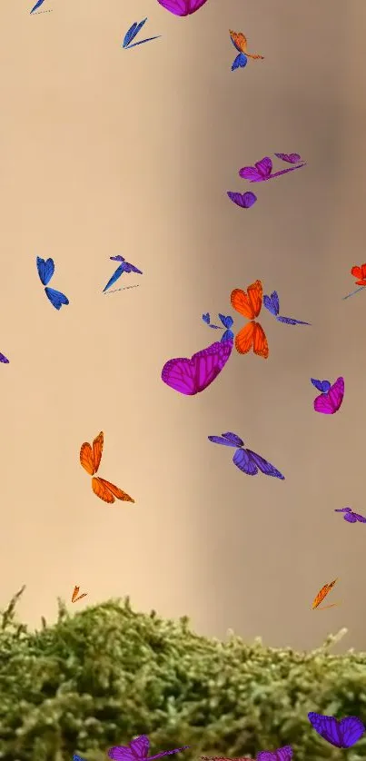 Colorful butterflies flutter on phone wallpaper.