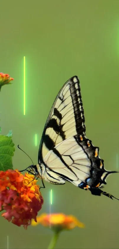 Colorful butterfly perched on vibrant flowers with a green background.