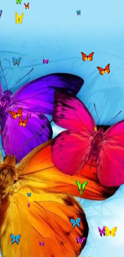 Colorful butterflies on a sky blue background.