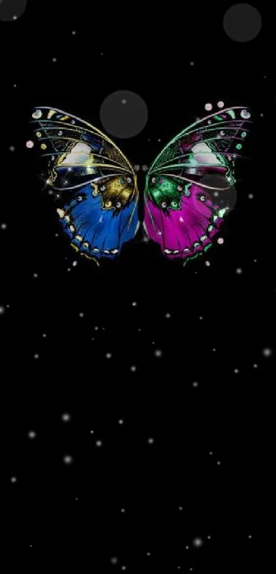 Colorful butterfly with blue and pink wings on black background.