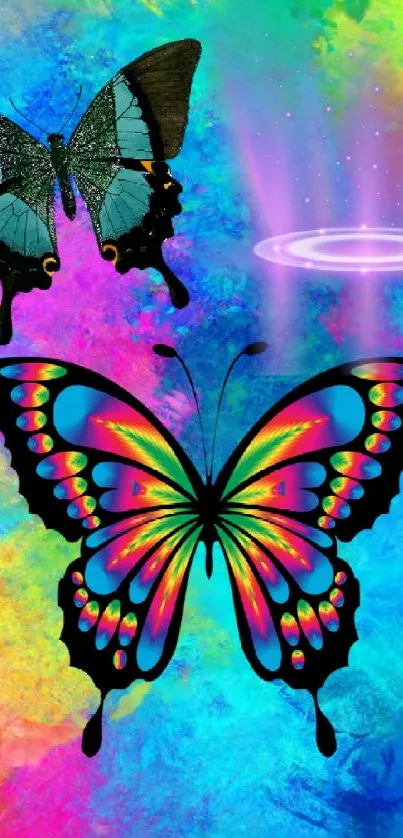 Vibrant multicolored butterfly wallpaper with blue background.