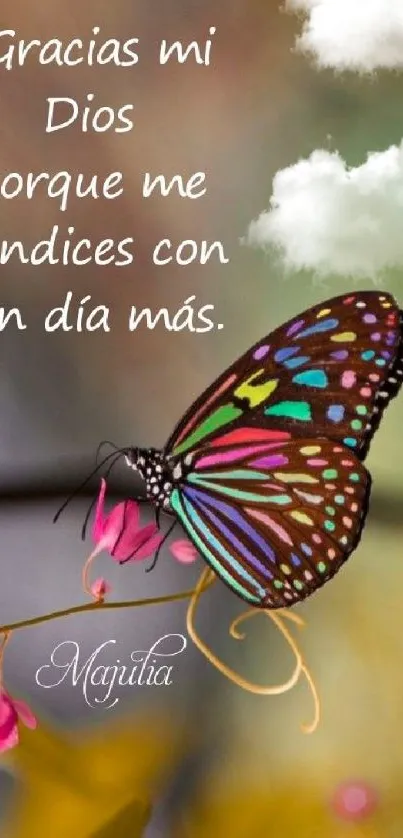 Colorful butterfly on branch with Spanish blessing.