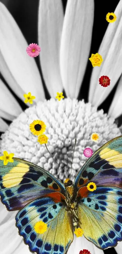 Colorful butterfly on a black and white daisy with vibrant floral accents.