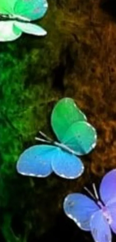 Colorful butterflies against a dark mystical background.