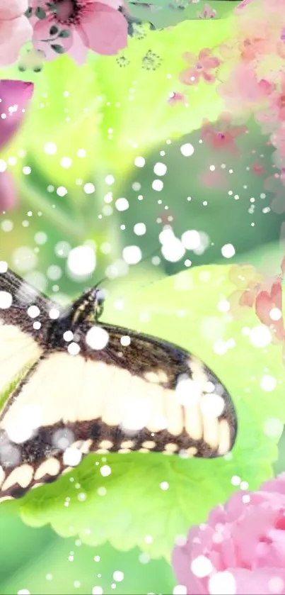 Colorful butterfly on floral background mobile wallpaper.