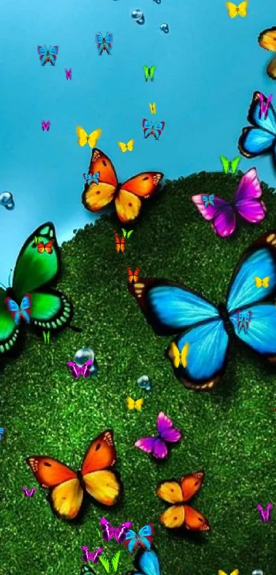 Colorful butterflies on bright green grass with a blue sky.