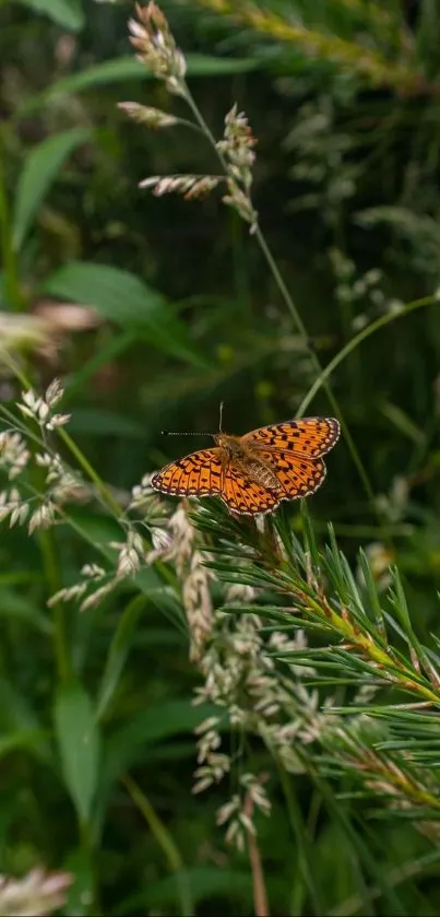 Vibrant butterfly rests among lush green plants.