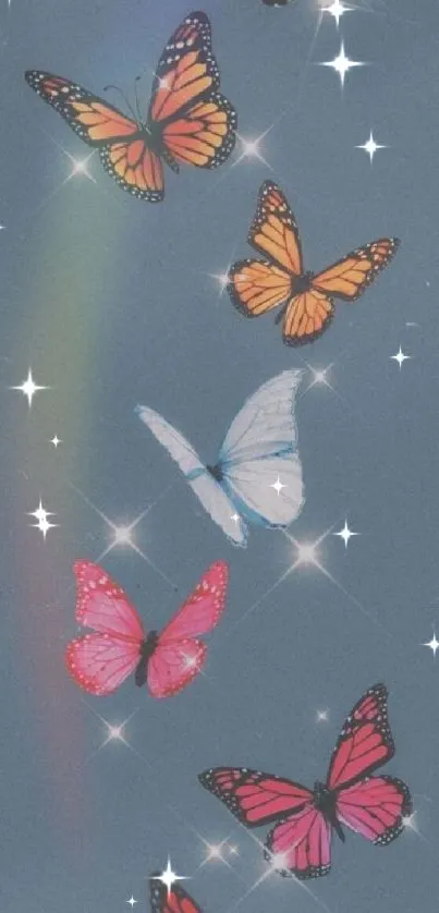 Vibrant butterflies on a slate blue background with sparkles.