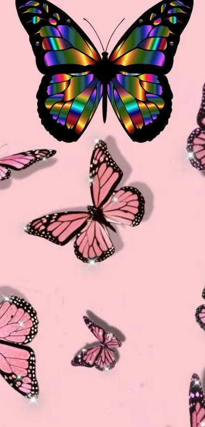 Rainbow butterfly on pink background wallpaper.