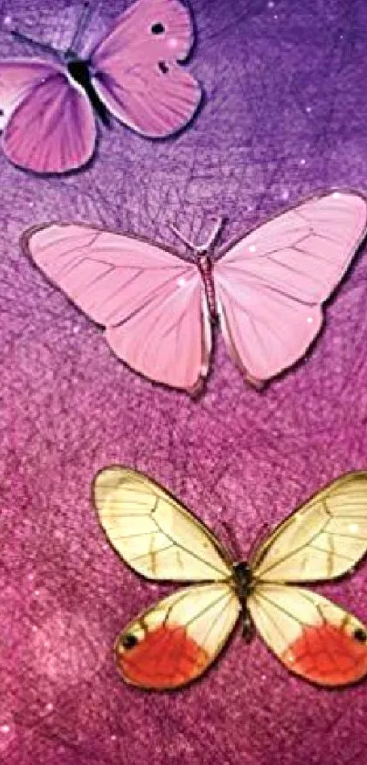 Three colorful butterflies on a purple and pink gradient background.