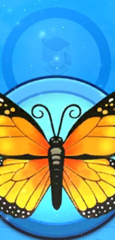 Vibrant orange and black butterfly on blue background wallpaper.