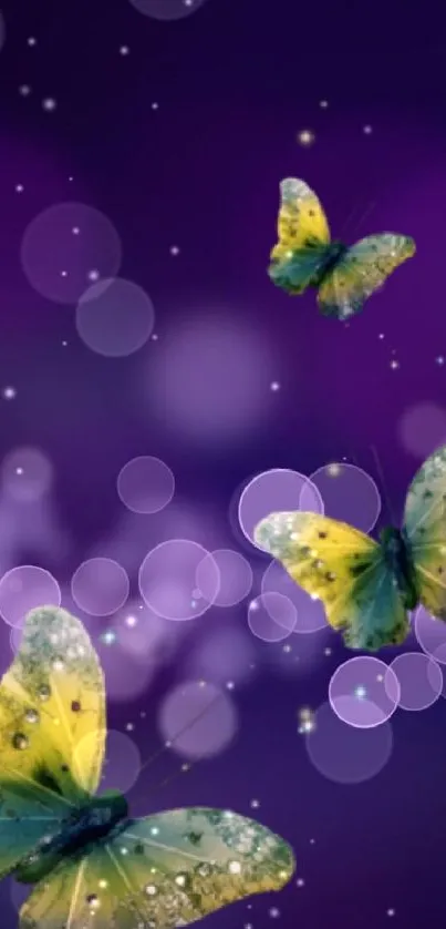 Colorful butterflies on a purple background.