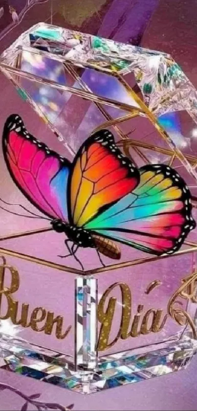 Colorful butterfly on 'Buen Día' crystal box wallpaper.