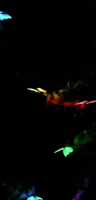 Colorful butterflies on black background.