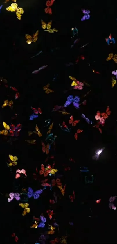 Vibrant butterfly night wallpaper for mobile with a black background.