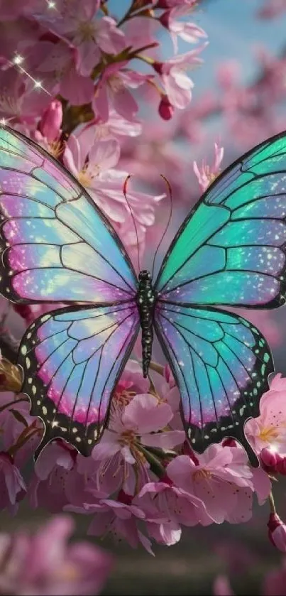 Colorful butterfly on pink blossoms with sparkling wings.