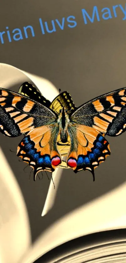 Vibrant butterfly perched on an open book.