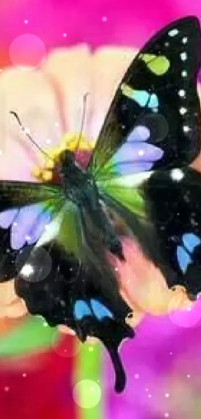 Vibrant butterfly on a colorful flower, perfect for mobile wallpaper.