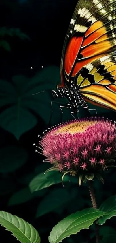 A vibrant butterfly rests on a purple flower against a dark green background.