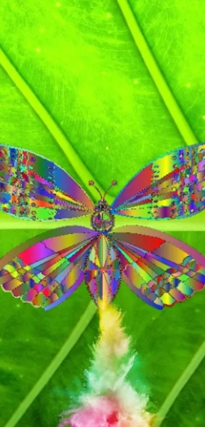 Colorful butterfly with rainbow wings on a green leaf background.