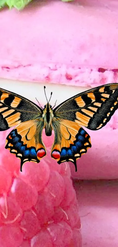 Butterfly sits on pink macarons with raspberry accents.