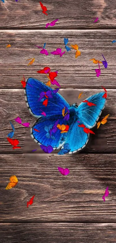 Blue butterfly with colorful petals on wood background.