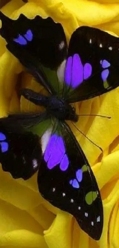 A colorful butterfly on vibrant yellow roses background.