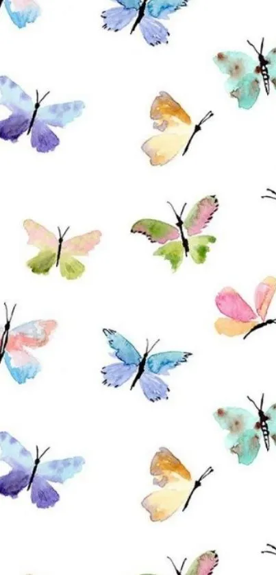 Colorful watercolor butterflies on white background wallpaper.