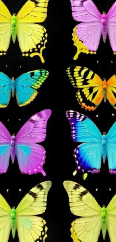 Vibrant butterfly pattern on black background, colorful hues.