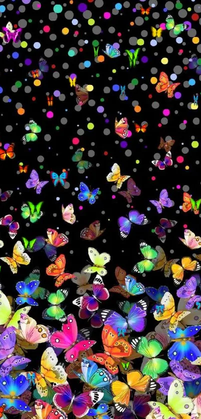 Colorful butterflies on black background wallpaper.