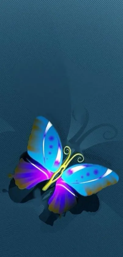 Colorful butterfly on a dark blue background.