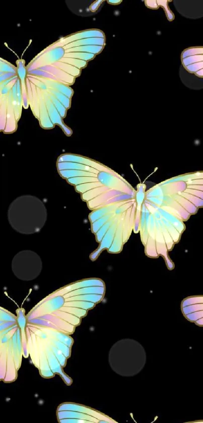 Vibrant butterflies with multicolored wings on a black background.