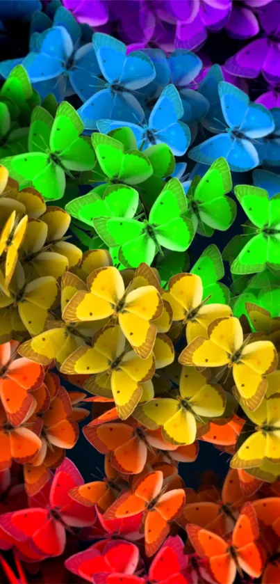 Vibrant butterfly wallpaper with rainbow colors for mobile phones.