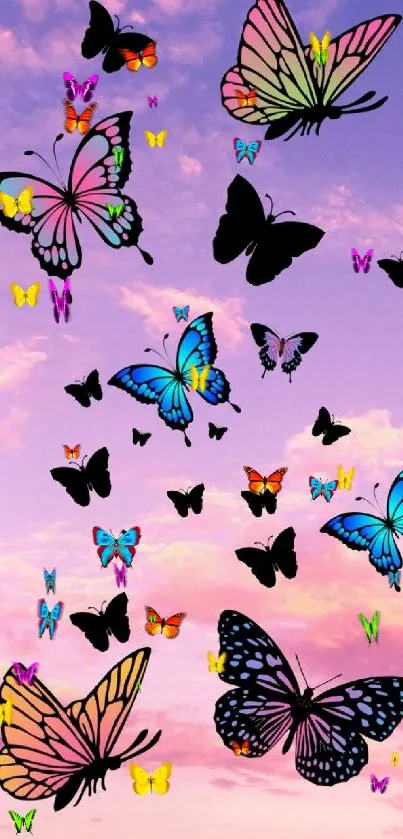 Vibrant butterflies with purple sky background.